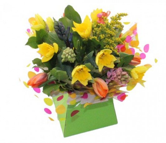 Daffodil City Box